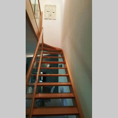 Superbe Duplex Au Nouveau Bassin Avec Vue Superbe Mulhouse Buitenkant foto