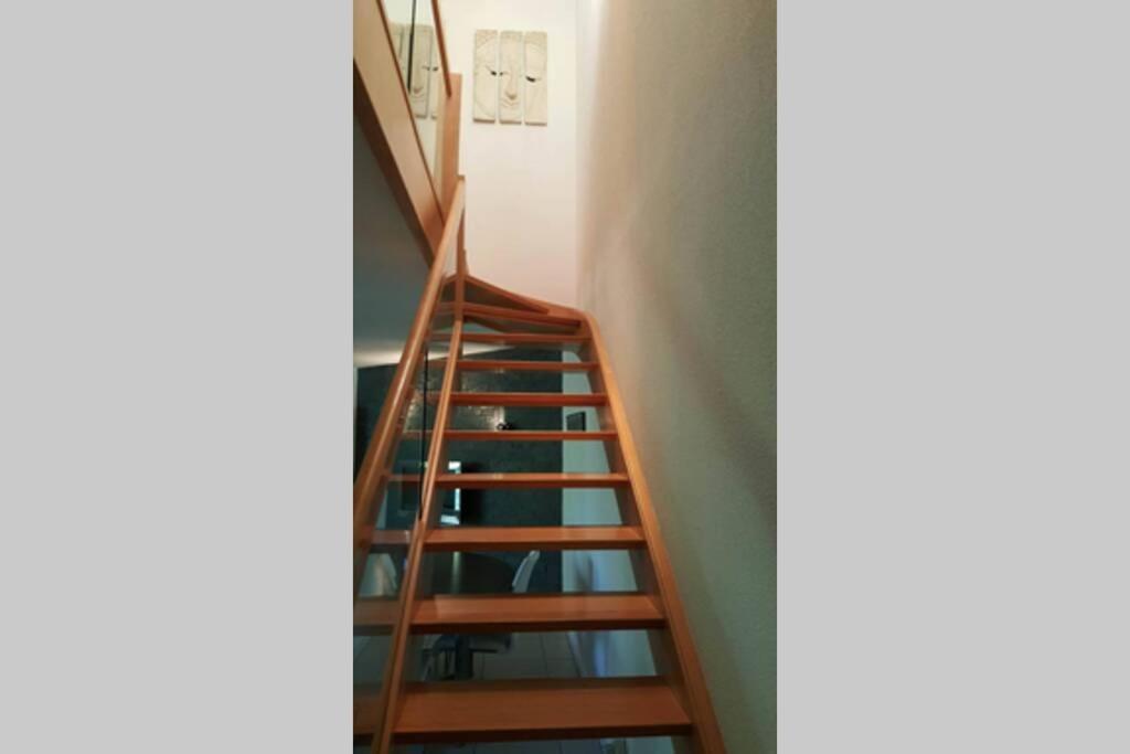 Superbe Duplex Au Nouveau Bassin Avec Vue Superbe Mulhouse Buitenkant foto