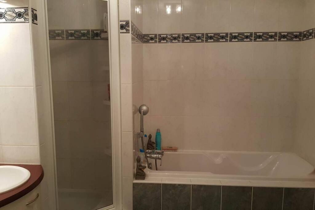 Superbe Duplex Au Nouveau Bassin Avec Vue Superbe Mulhouse Buitenkant foto
