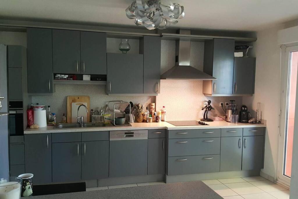 Superbe Duplex Au Nouveau Bassin Avec Vue Superbe Mulhouse Buitenkant foto